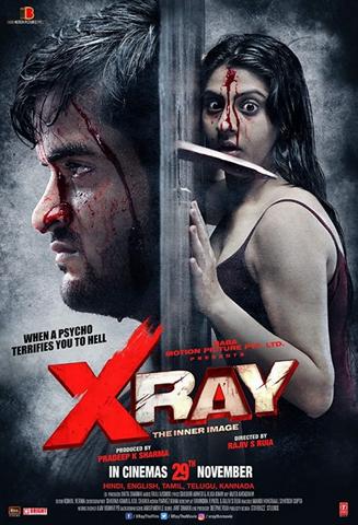 X Ray The Inner Image 2019 Hindi Dual Audio 480p HDRip x264 350MB