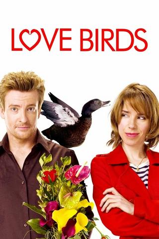 Love Birds 2011 Hindi Dual Audio 480p BluRay x264 350MB