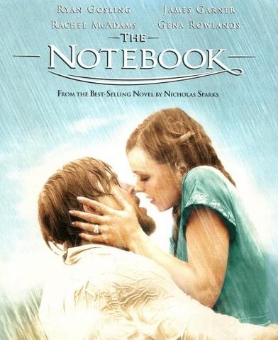 The Notebook 2004 Hindi Dual Audio 480p BluRay x264 400MB ESubs