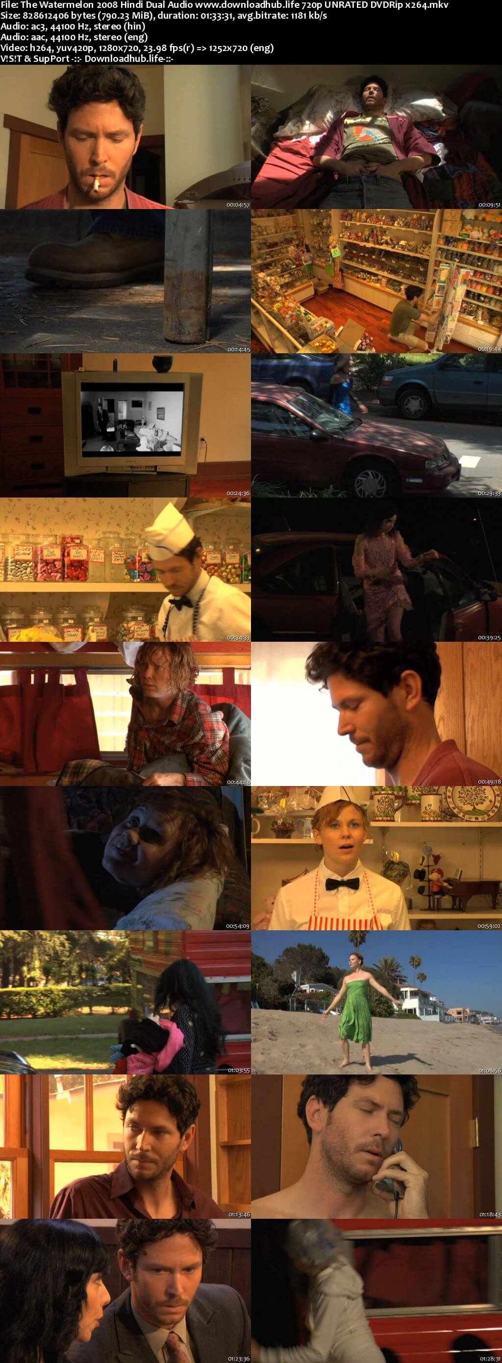 The Watermelon 2008 Hindi Dual Audio 720p UNRATED DVDRip x264