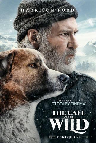 The Call of the Wild 2020 English 480p BluRay x264 300MB ESubs