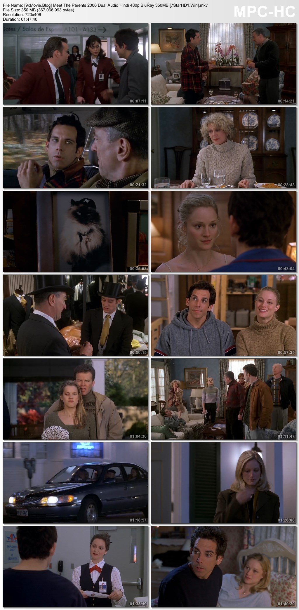 Meet The Parents 2000 Dual Audio Hindi 480p BluRay x264 350MB