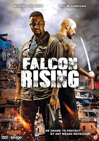 Falcon Rising 2014 Dual Audio Hindi 480p BluRay x264 300MB ESubs