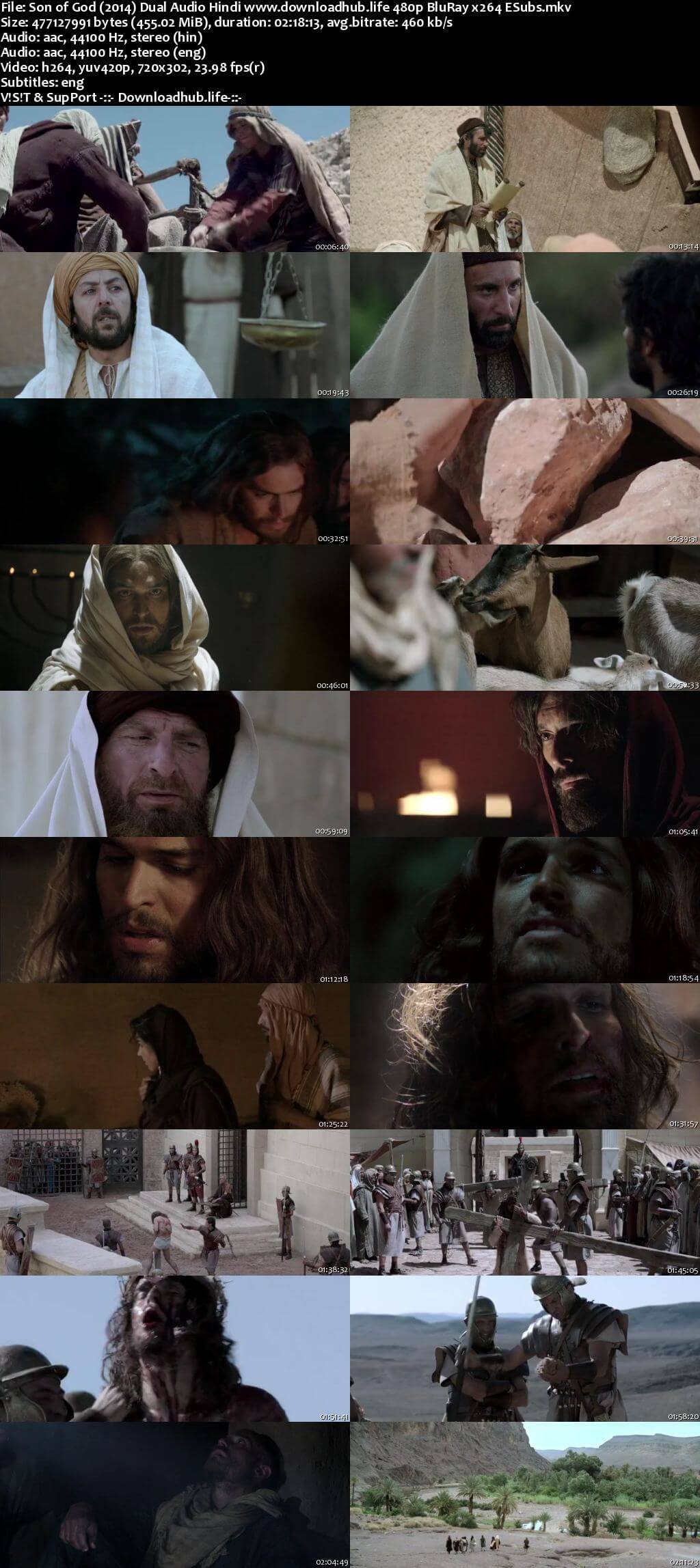 Son of God 2014 Hindi Dual Audio 450MB BluRay 480p ESubs