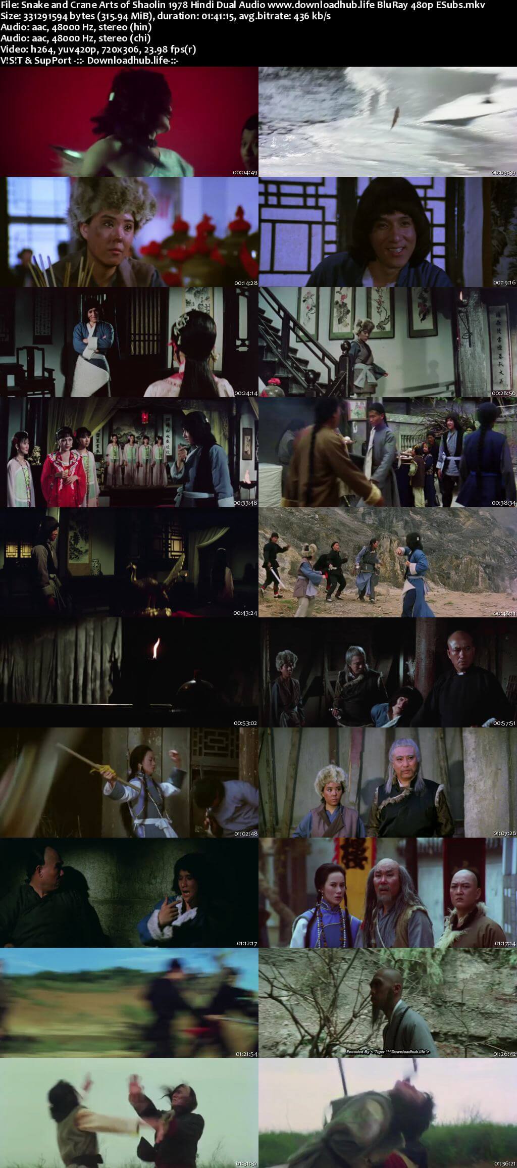 Snake and Crane Arts of Shaolin 1978 Hindi Dual Audio 300MB BluRay 480p ESubs