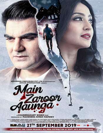 Main Zaroor Aaunga 2019 Full Hindi Movie 720p HEVC HDRip Download