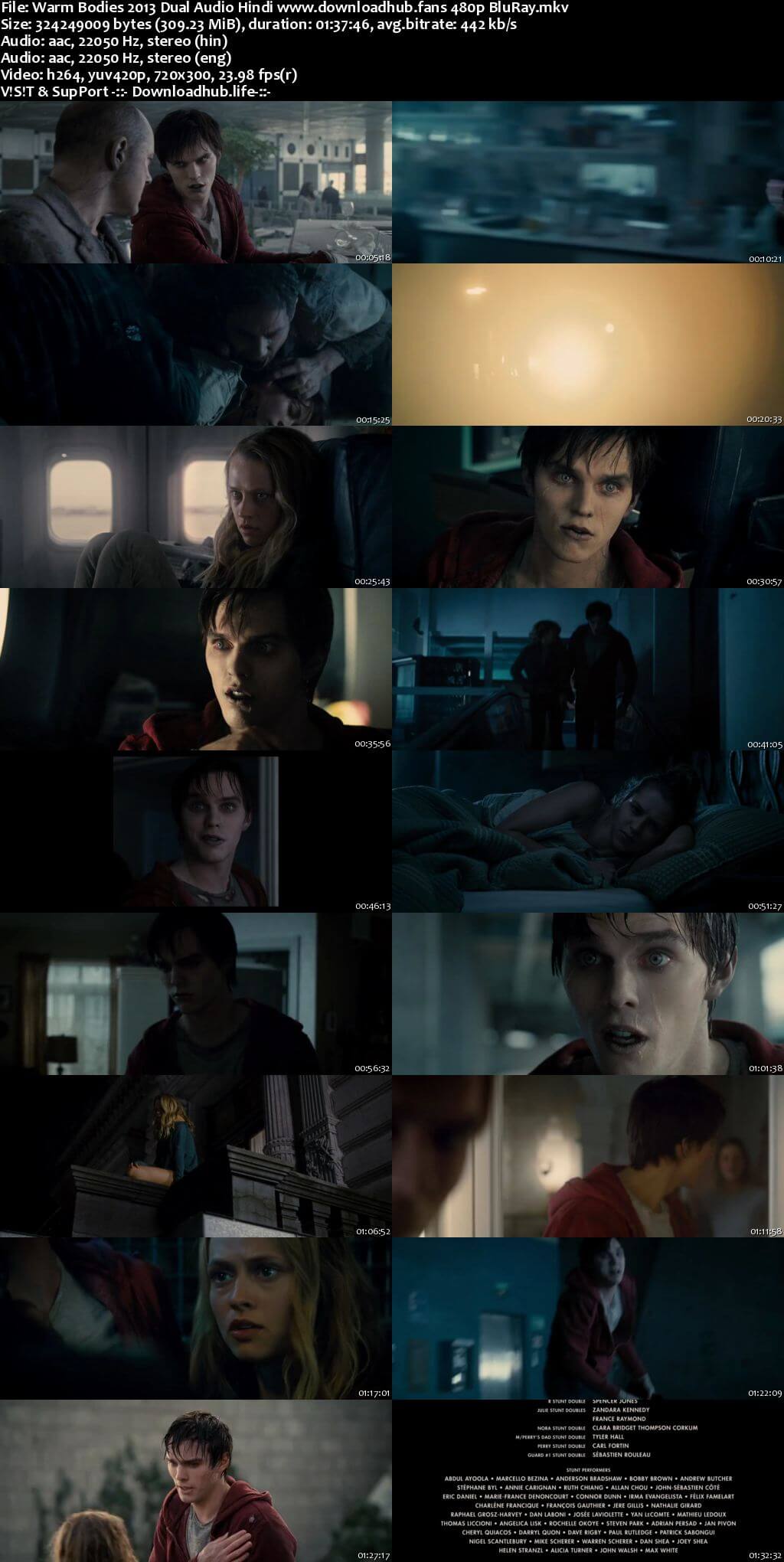 Warm Bodies 2013 Hindi Dual Audio 300MB BluRay 480p