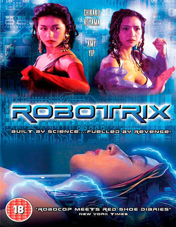 Robotrix 1991 Hindi Dual Audio BRRip Full Movie 480p Download