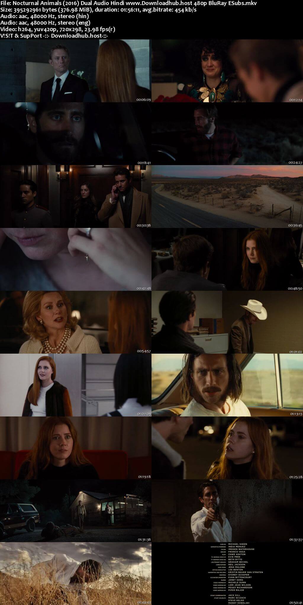 Nocturnal Animals 2016 Hindi Dual Audio 350MB BluRay 480p ESubs