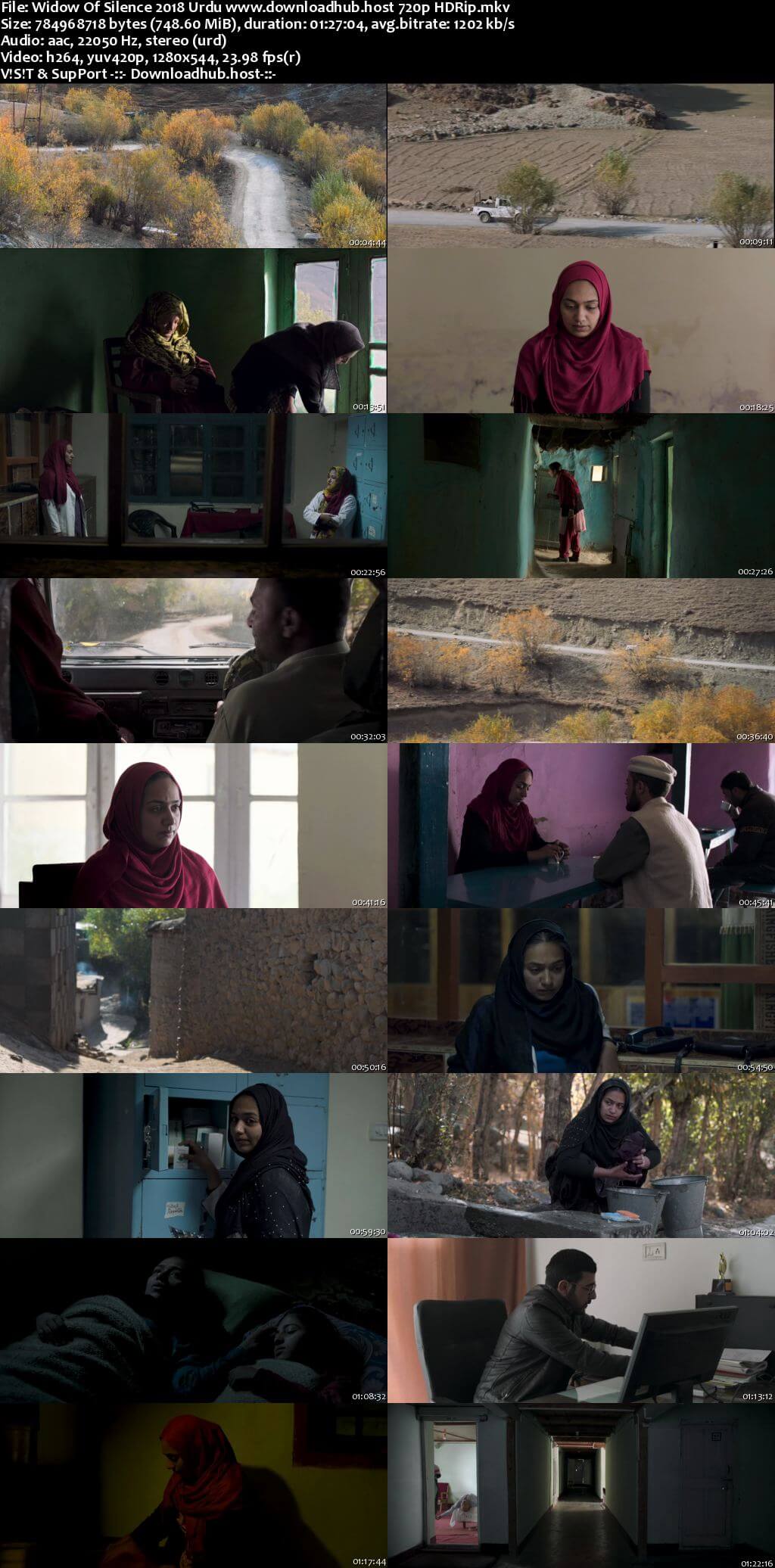 Widow of Silence 2018 Urdu 720p HDRip x264