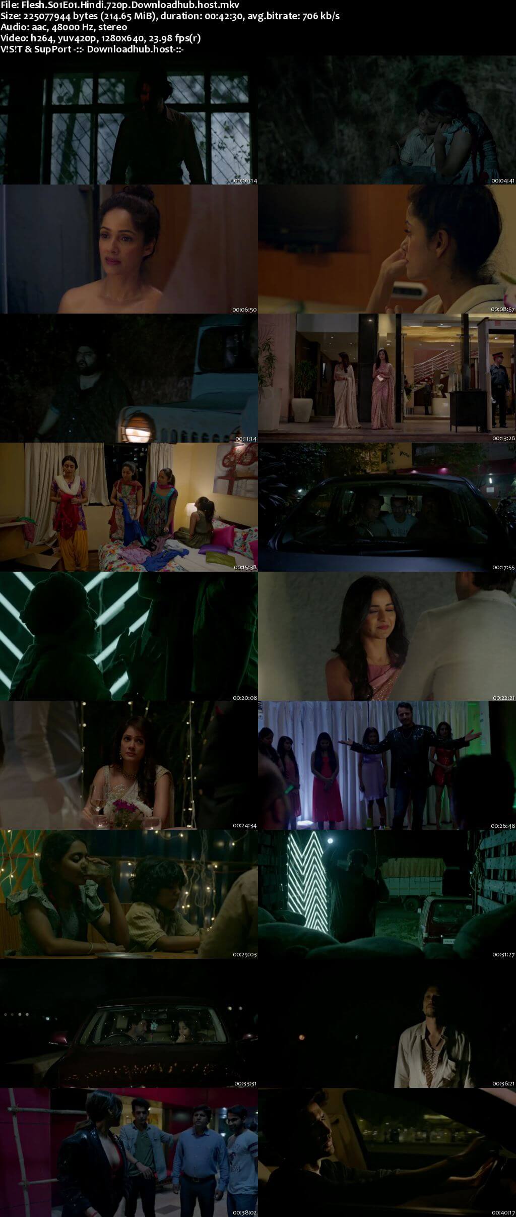 Flesh 2020 Hindi Season 01 Complete 720p HDRip x264