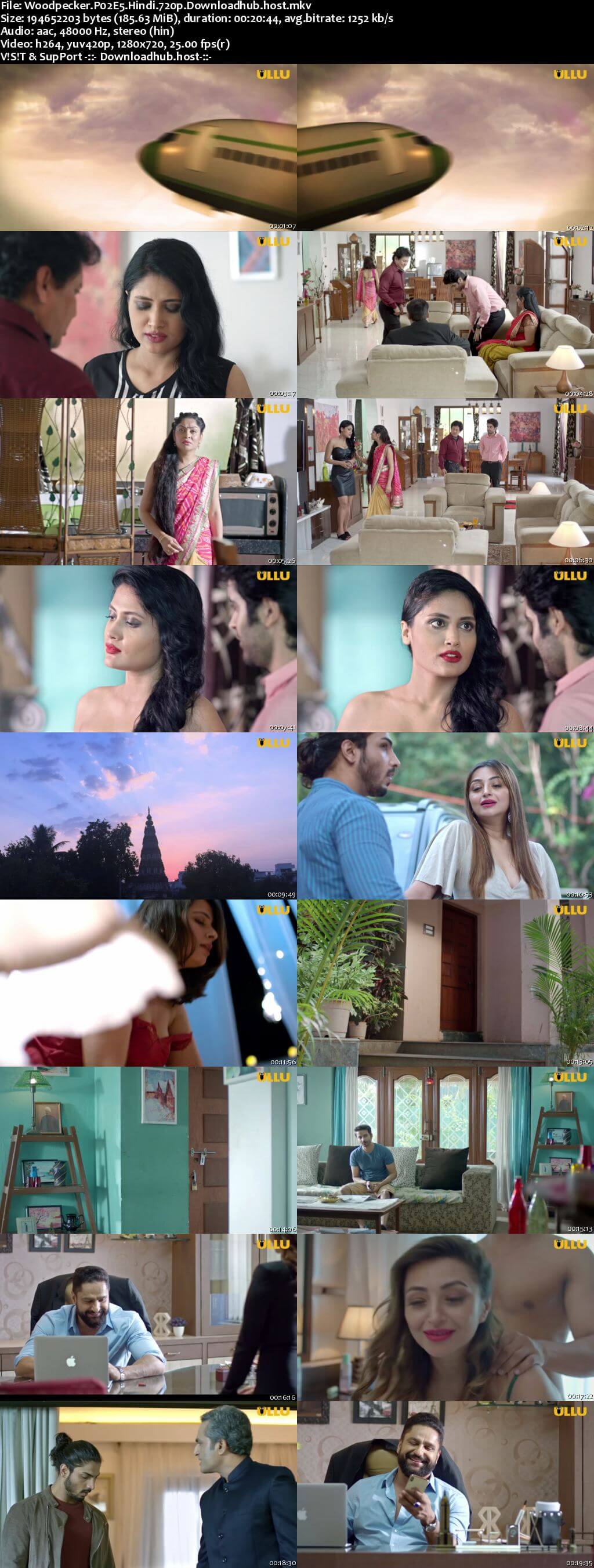 Woodpecker 2020 Hindi Part 2 ULLU WEB Series 720p HDRip x264