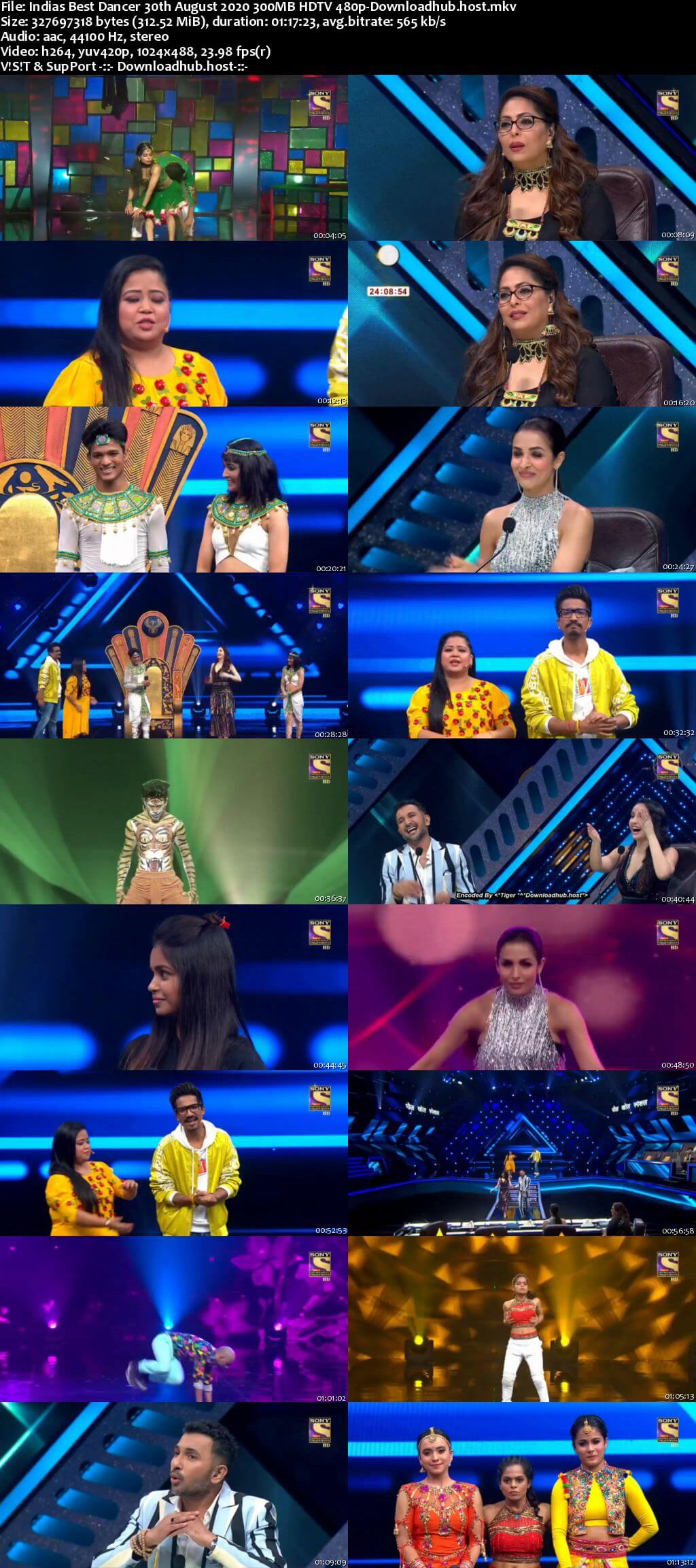 Indias Best Dancer 30 August 2020 Episode 24 HDTV 480p