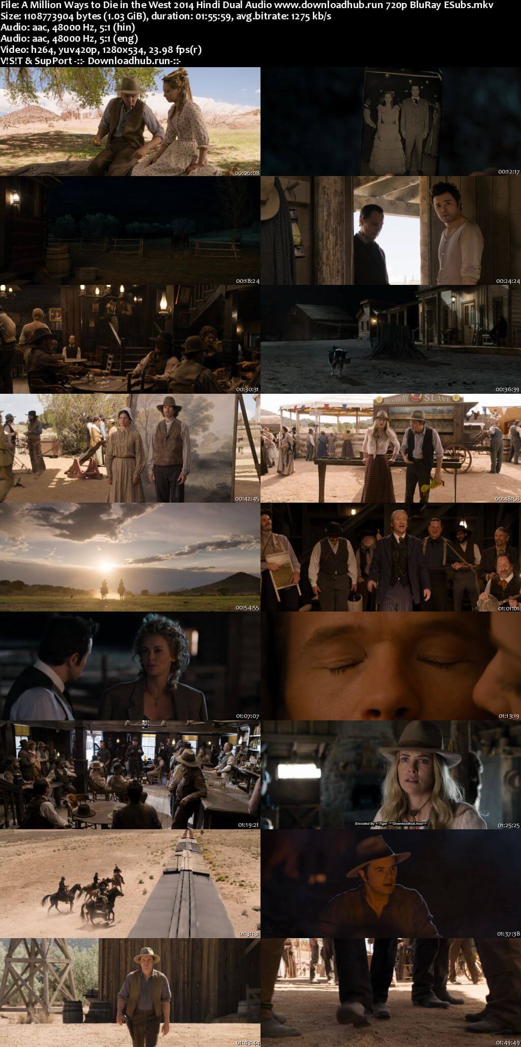 A Million Ways to Die in the West 2014 Hindi Dual Audio 720p BluRay ESubs