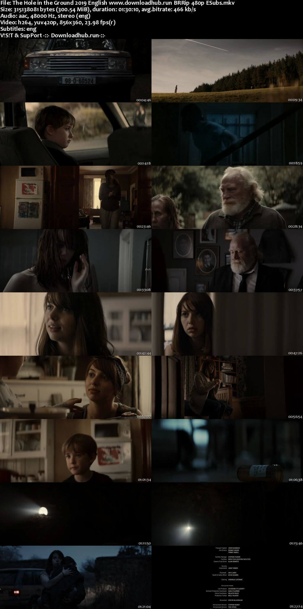 The Hole in the Ground 2019 English 300MB BRRip 480p ESubs