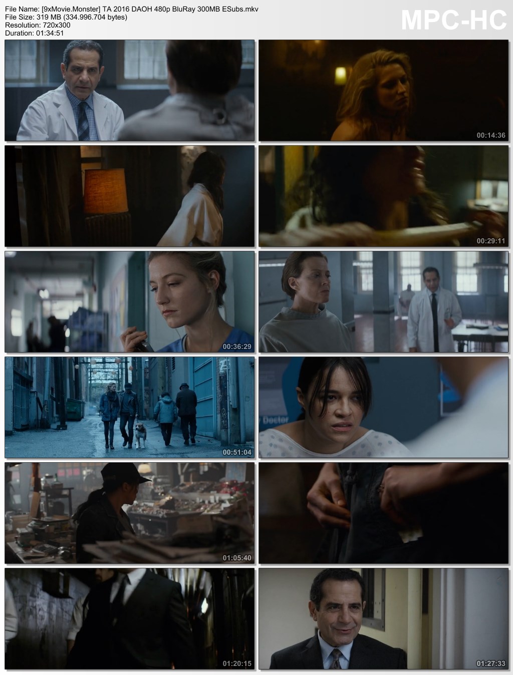 The Assignment 2016 Dual Audio ORG Hindi 480p BluRay x264 300MB ESubs