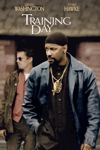 Training Day 2001 Dual Audio Hindi 480p BluRay x264 350MB ESubs