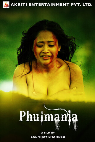 Phulmania 2019 Hindi 480p HDRip x264 400MB ESubs