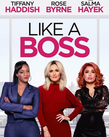 Like a Boss 2020 Dual Audio ORG Hindi 480p BluRay x264 300MB ESubs