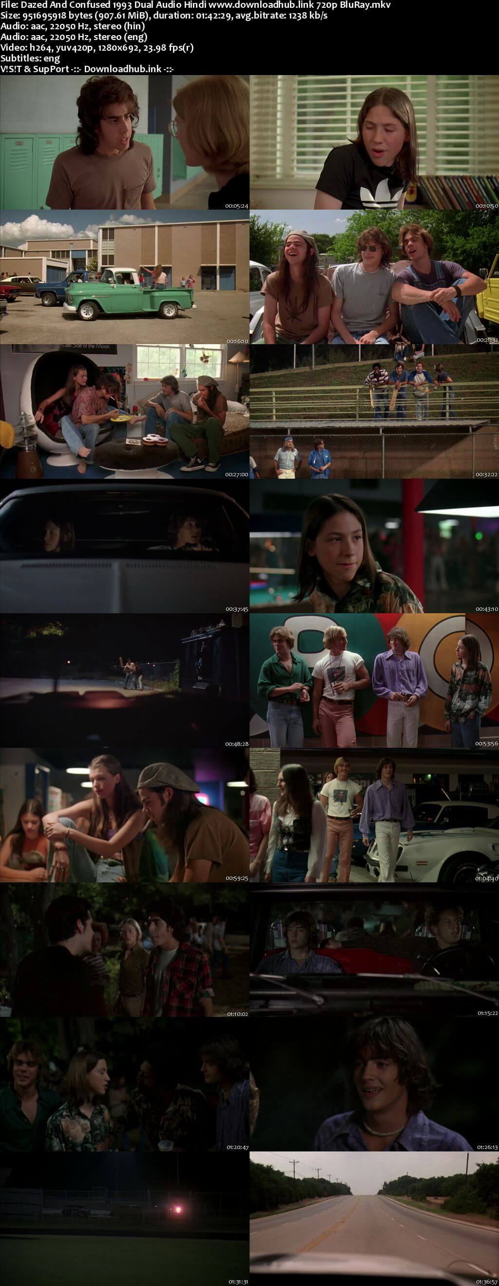 Dazed and Confused 1993 Hindi Dual Audio 720p BluRay ESubs