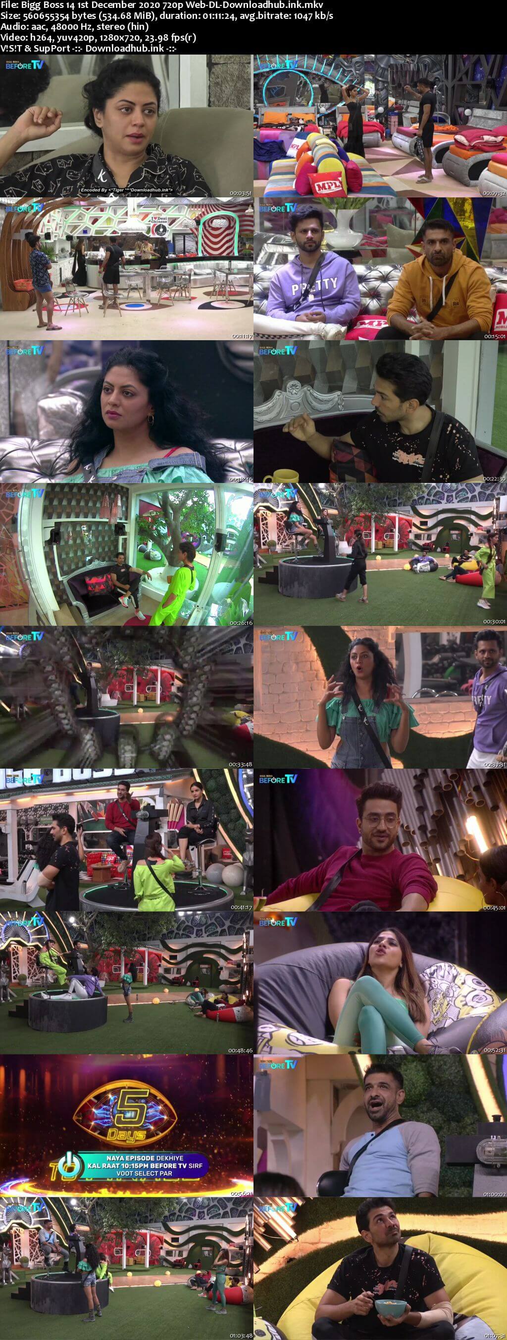 Bigg Boss 14 1st December 2020 Episode 59 720p 480p Web-DL