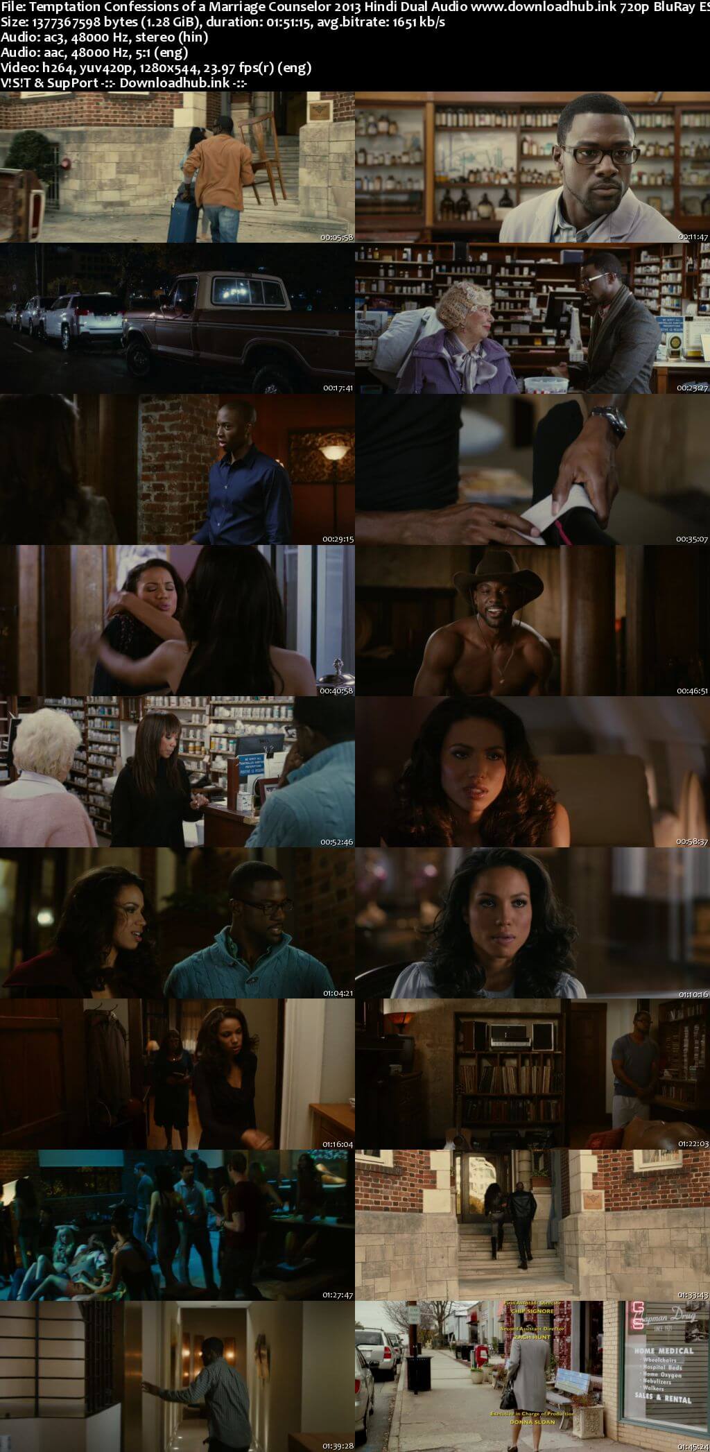 Temptation Confessions of a Marriage Counselor 2013 Hindi Dual Audio 720p BluRay ESubs