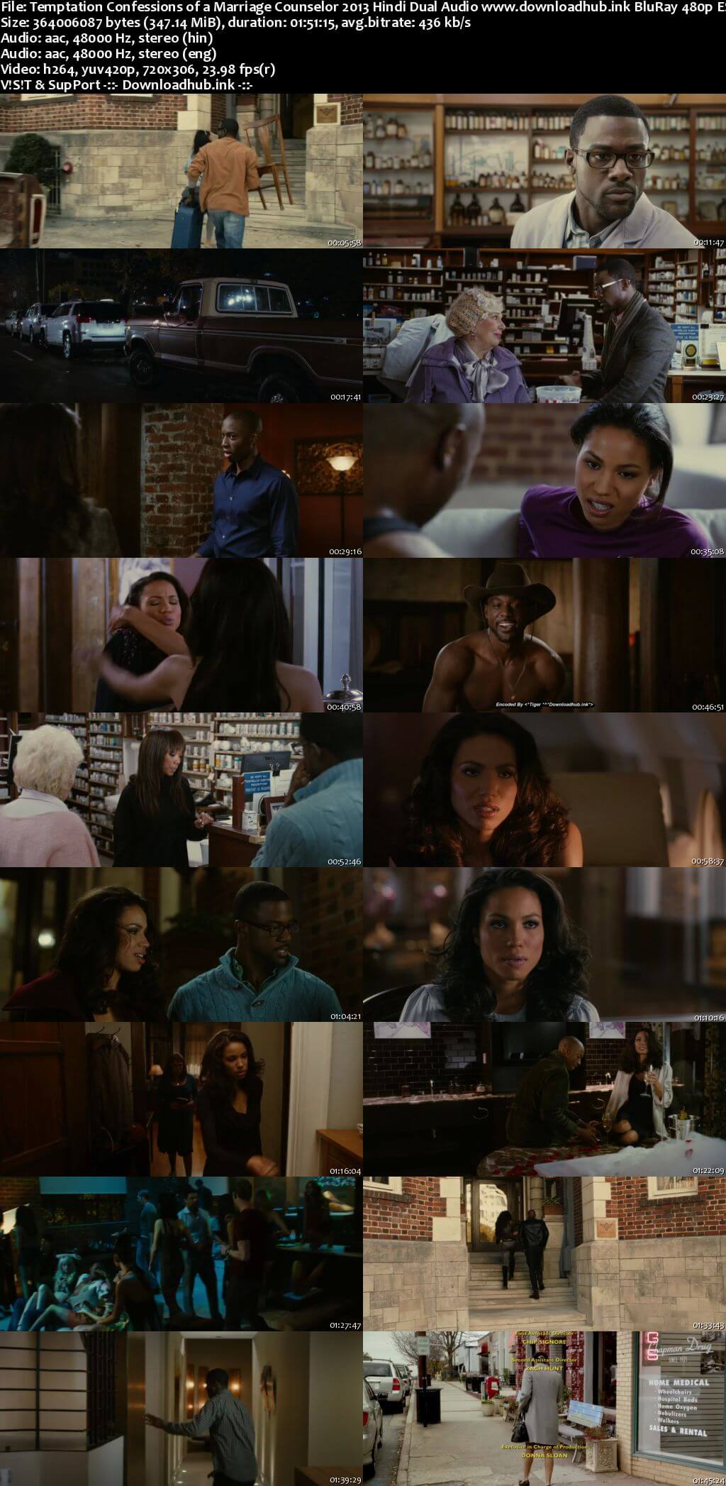 Temptation Confessions of a Marriage Counselor 2013 Hindi Dual Audio 350MB BluRay 480p ESubs