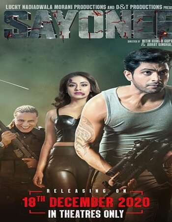 Sayonee 2020 Hindi 720p 480p Pre-DVDRip x264