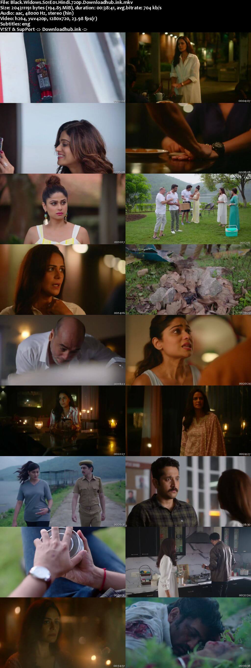 Black Widows 2020 Hindi Season 01 Complete 720p HDRip ESubs