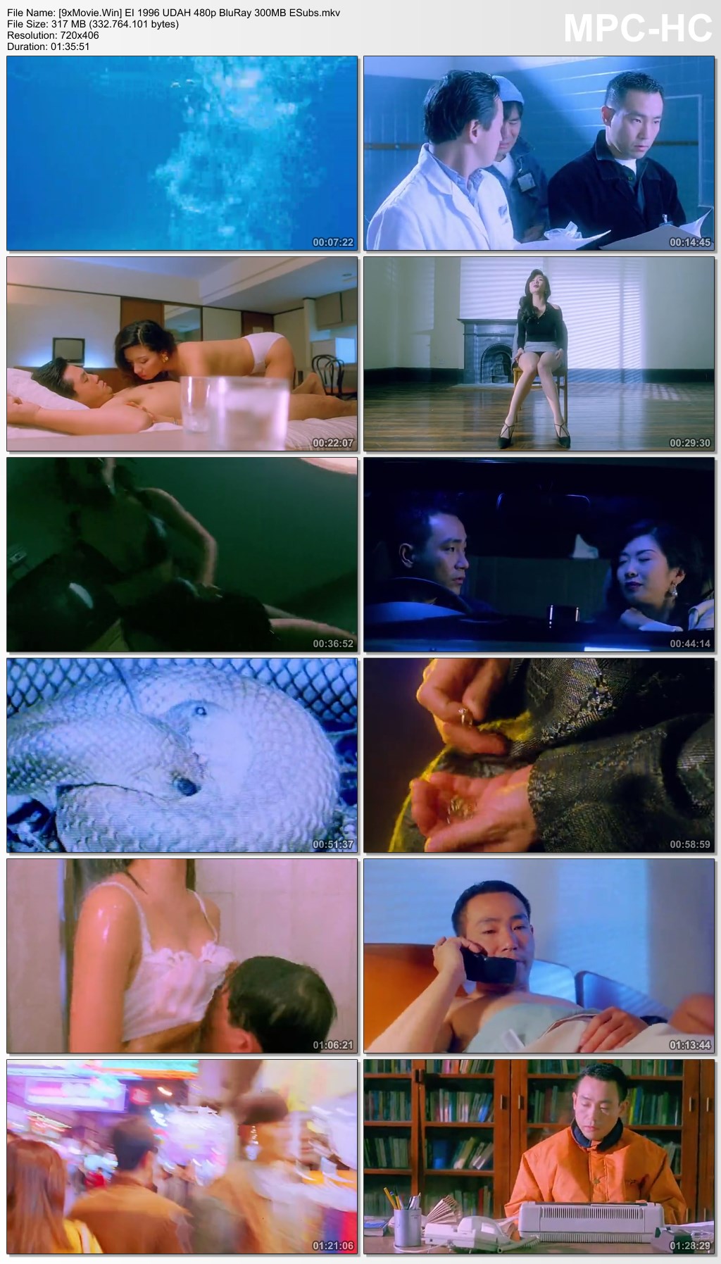 Evil Instinct 1996 UNRATED Dual Audio Hindi 480p BluRay x264 300MB ESubs