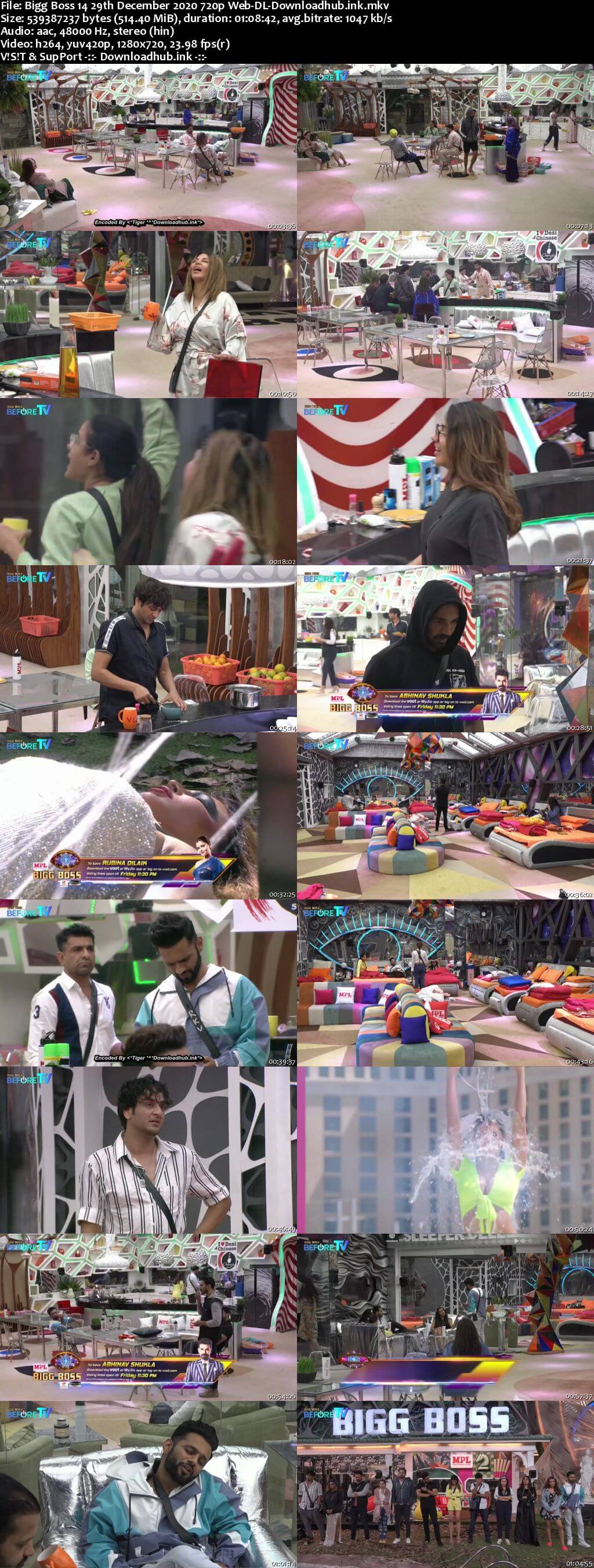 Bigg Boss 14 29th December 2020 Episode 87 720p 480p Web-DL