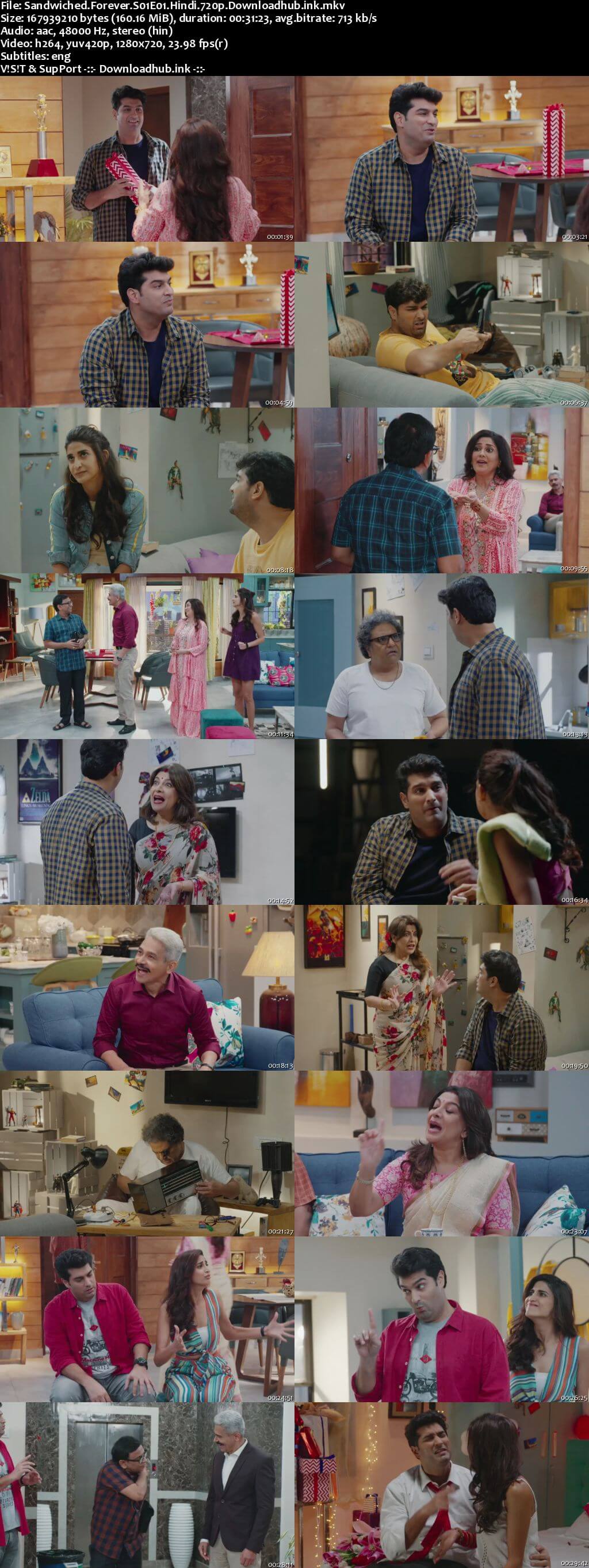 Sandwiched Forever 2020 Hindi Season 01 Complete 720p HDRip ESubs