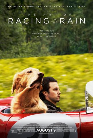 The Art of Racing in the Rain 2019 Dual Audio Hindi 480p BluRay x264 350MB