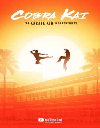 Cobra Kai 2018 S01 Complete Hindi Dual Audio 720p Web-DL ESubs