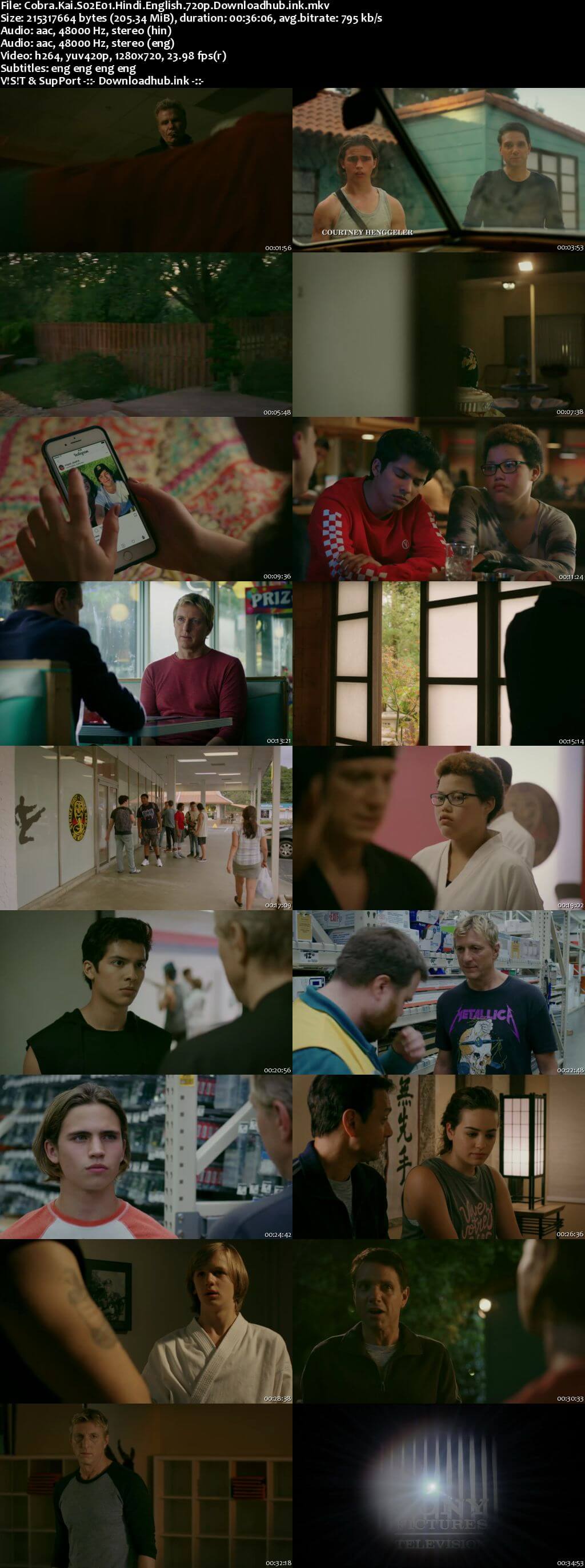 Cobra Kai 2019 S02 Complete Hindi Dual Audio 720p Web-DL ESubs