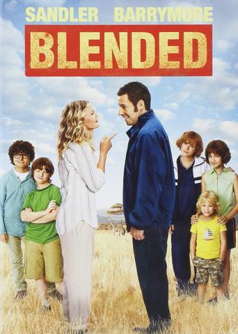 Blended 2014 Dual Audio Hindi (Fan Dub) 480p BluRay x264 350MB