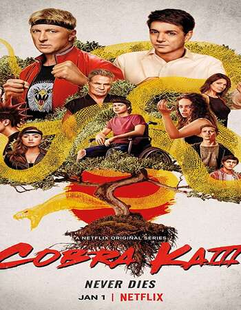 Cobra Kai 2021 S03 Complete Hindi Dual Audio 720p Web-DL MSubs