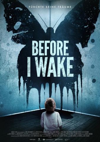 Before I Wake 2016 Dual Audio ORG Hindi 480p BluRay x264 340MB ESubs