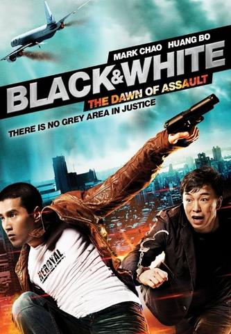 Black & White The Dawn of Assault 2012 Dual Audio Hindi 480p BluRay 450MB ESubs