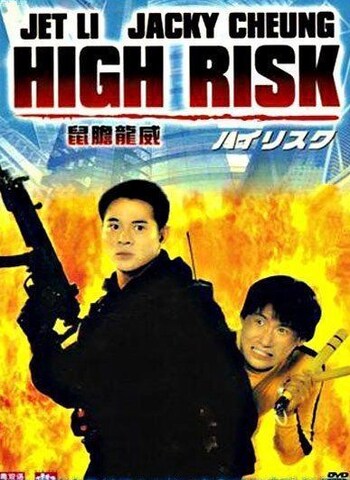 High Risk 1995 Dual Audio Hindi 480p WEB-DL x264 350MB ESubs