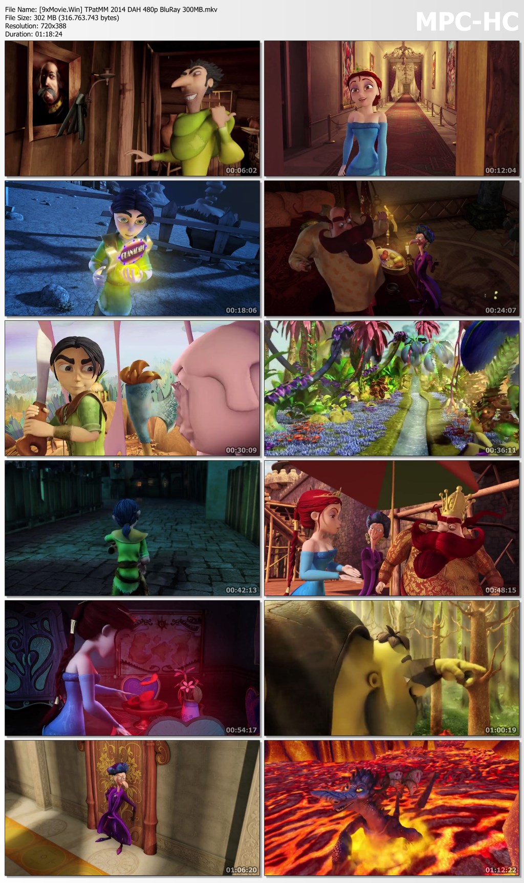 The Princess and the Magic Mirror 2014 Dual Audio Hindi 480p BluRay x264 300MB