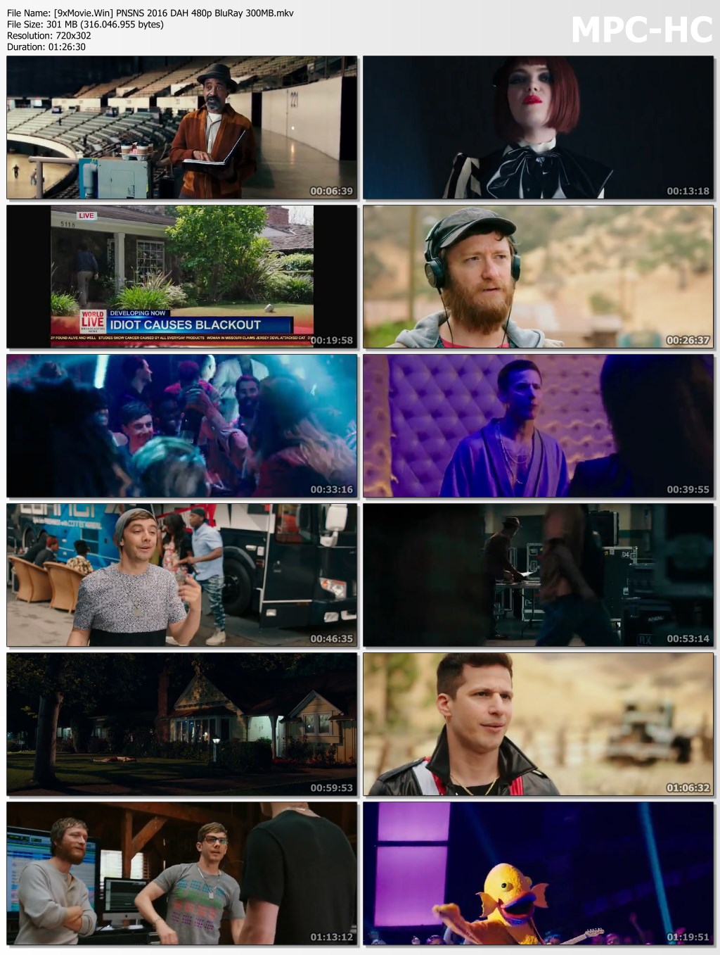 Popstar Never Stop Never Stopping 2016 Dual Audio Hindi 480p BluRay x264 300MB