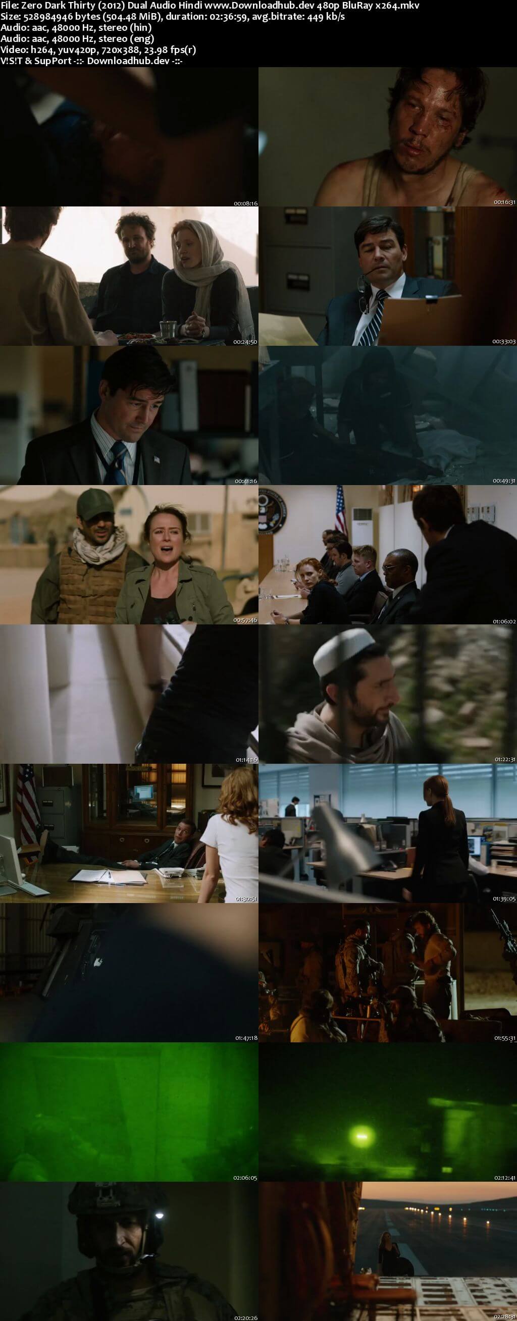 Zero Dark Thirty 2012 Hindi Dual Audio 500MB BluRay 480p