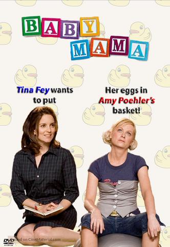 Baby Mama 2008 Dual Audio Hindi 480p BluRay x264 350MB ESubs