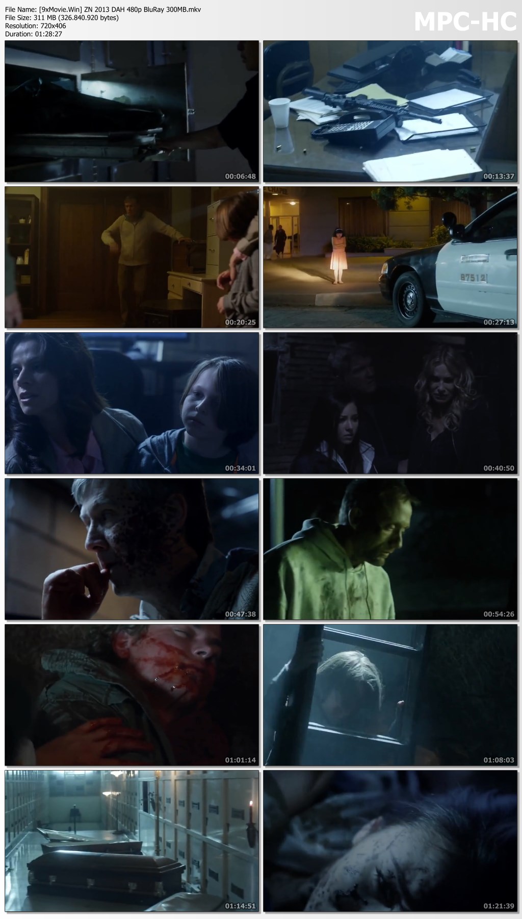 Zombie Night 2013 Dual Audio Hindi 480p BluRay x264 300MB