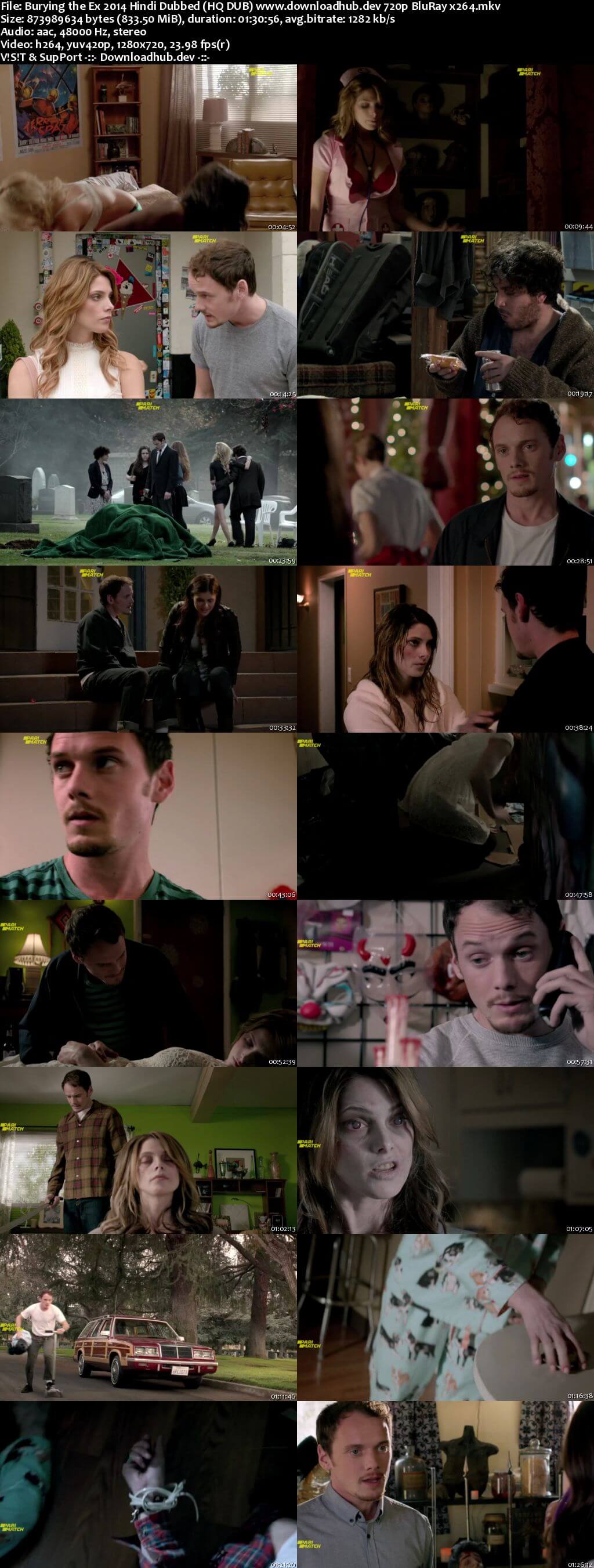 Burying the Ex 2014 Hindi (HQ DUB) 720p BluRay x264