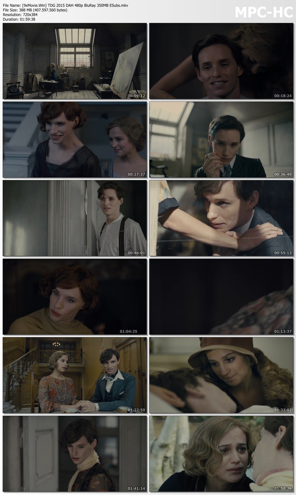 The Danish Girl 2015 Dual Audio Hindi 480p BluRay x264 350MB ESubs