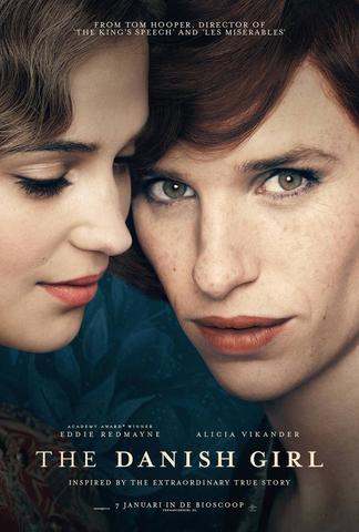 The Danish Girl 2015 Dual Audio Hindi 480p BluRay x264 350MB ESubs