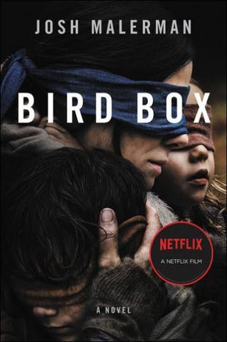 Bird Box 2018 Netflix Dual Audio Hindi (Fan Dub) 480p WEB-DL x264 400MB