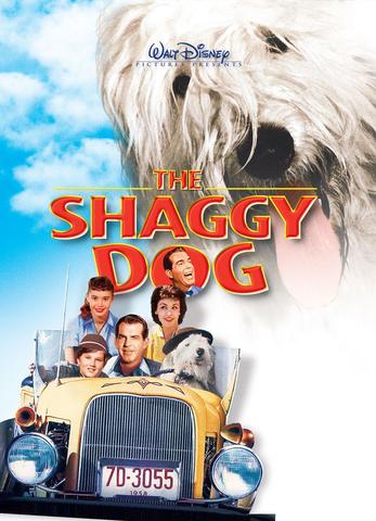 The Shaggy Dog 2006 Dual Audio Hindi 480p BluRay x264 300MB